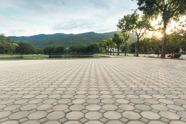 Best Best Driveway Pavers  in Weyauwega, WI