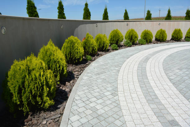Best Custom Driveway Pavers  in Weyauwega, WI