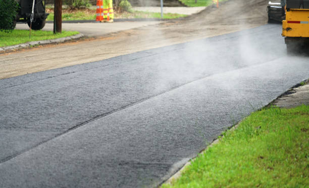 Best Local Driveway Pavers  in Weyauwega, WI